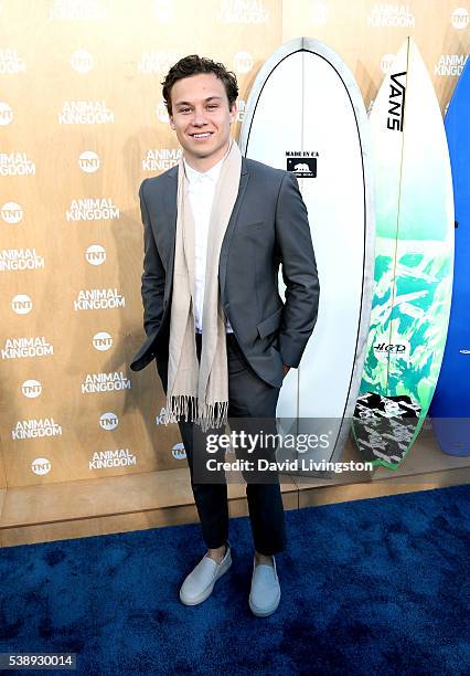 Actor Finn Cole attends the premiere of TNT's "Animal Kingdom" at The Rose Room on June 8, 2016 in Venice, California.