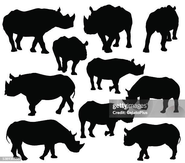 rhinoceros silhouette - rhino stock illustrations