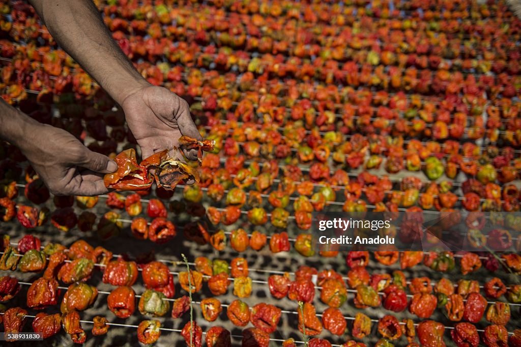 Dried vegetables in Turkey's Gaziantep