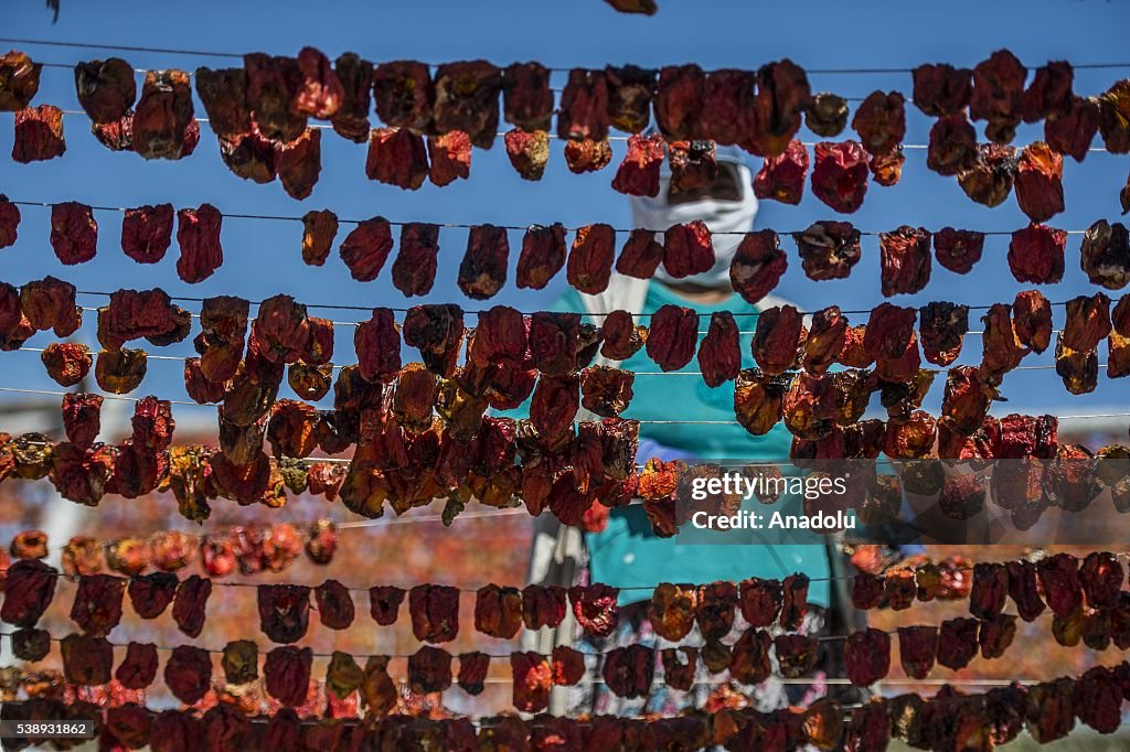 Dried vegetables in Turkey's Gaziantep