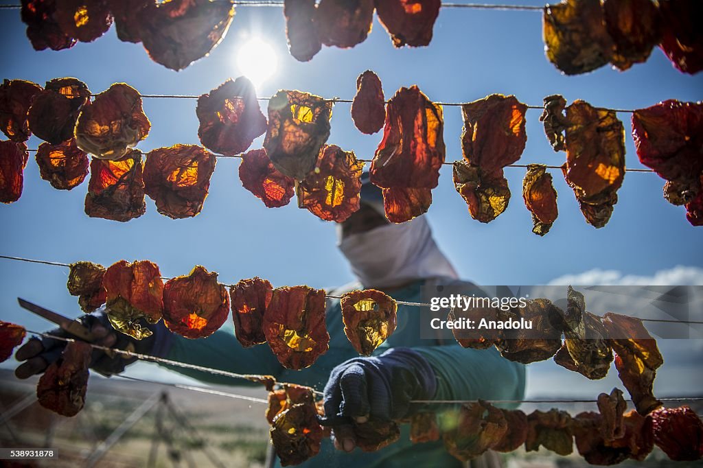 Dried vegetables in Turkey's Gaziantep