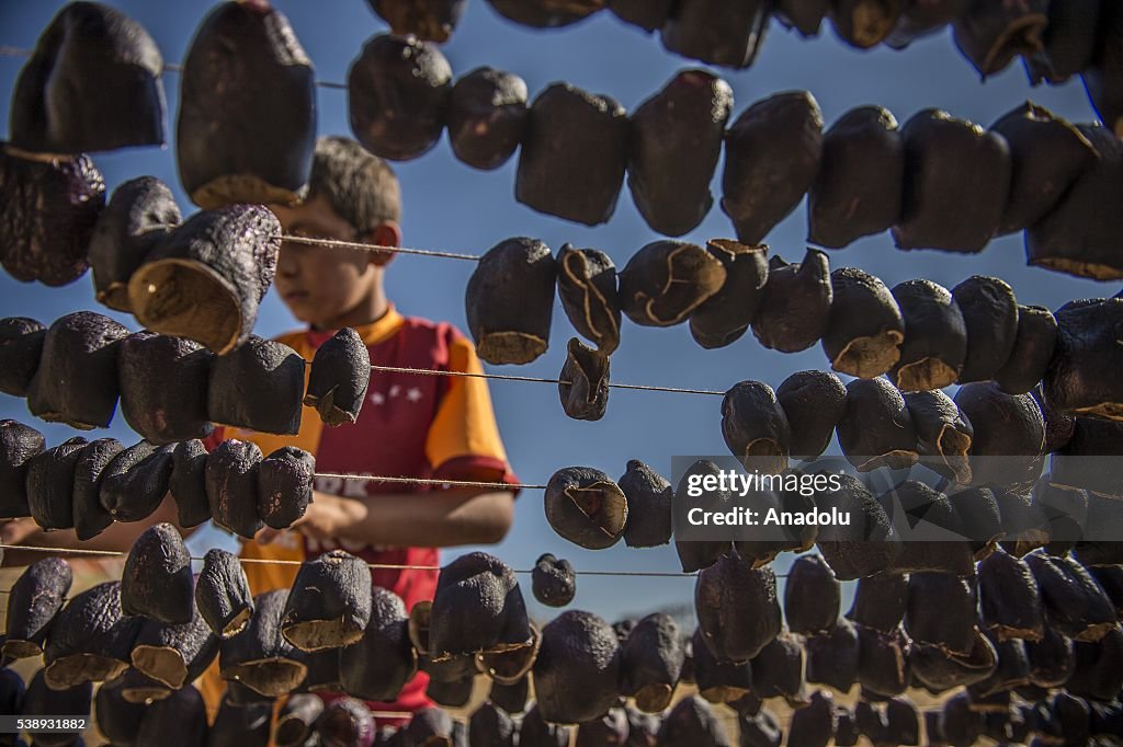 Dried vegetables in Turkey's Gaziantep