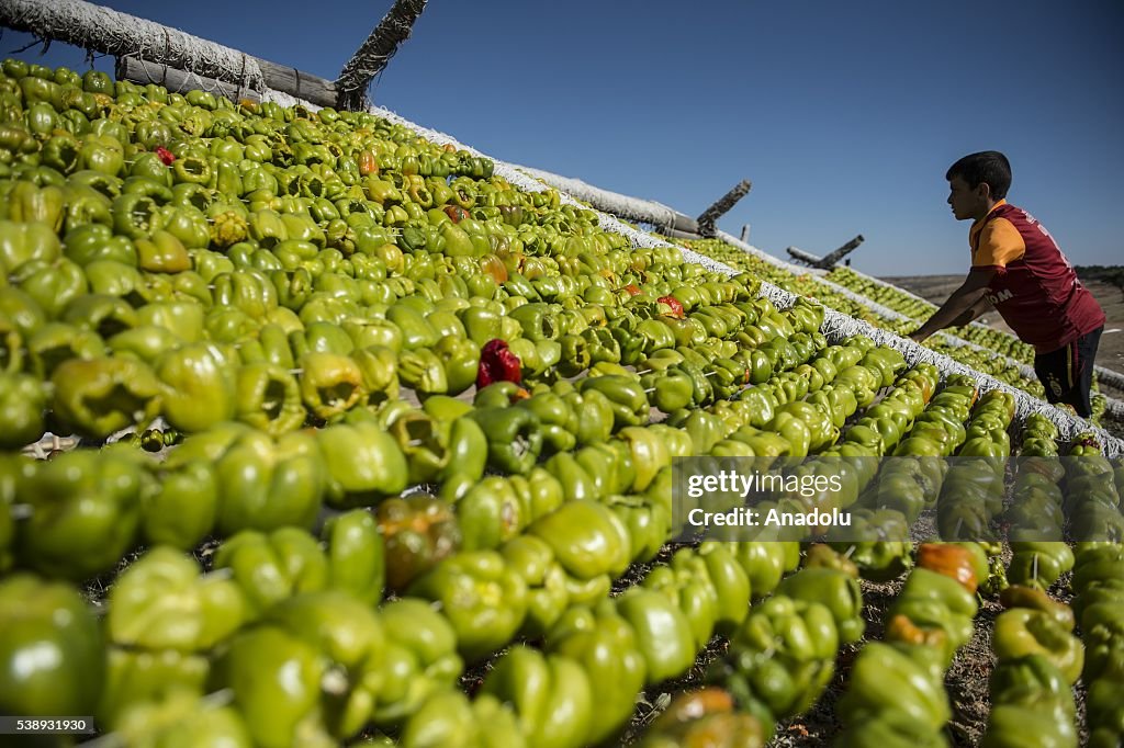 Dried vegetables in Turkey's Gaziantep