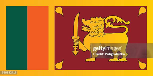 flagge von sri lanka - sri lanka flag stock-grafiken, -clipart, -cartoons und -symbole