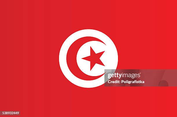 stockillustraties, clipart, cartoons en iconen met flag of tunisia - tunesië