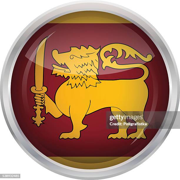 glänzend-schaltfläche-flagge von sri lanka - sri lanka flag stock-grafiken, -clipart, -cartoons und -symbole