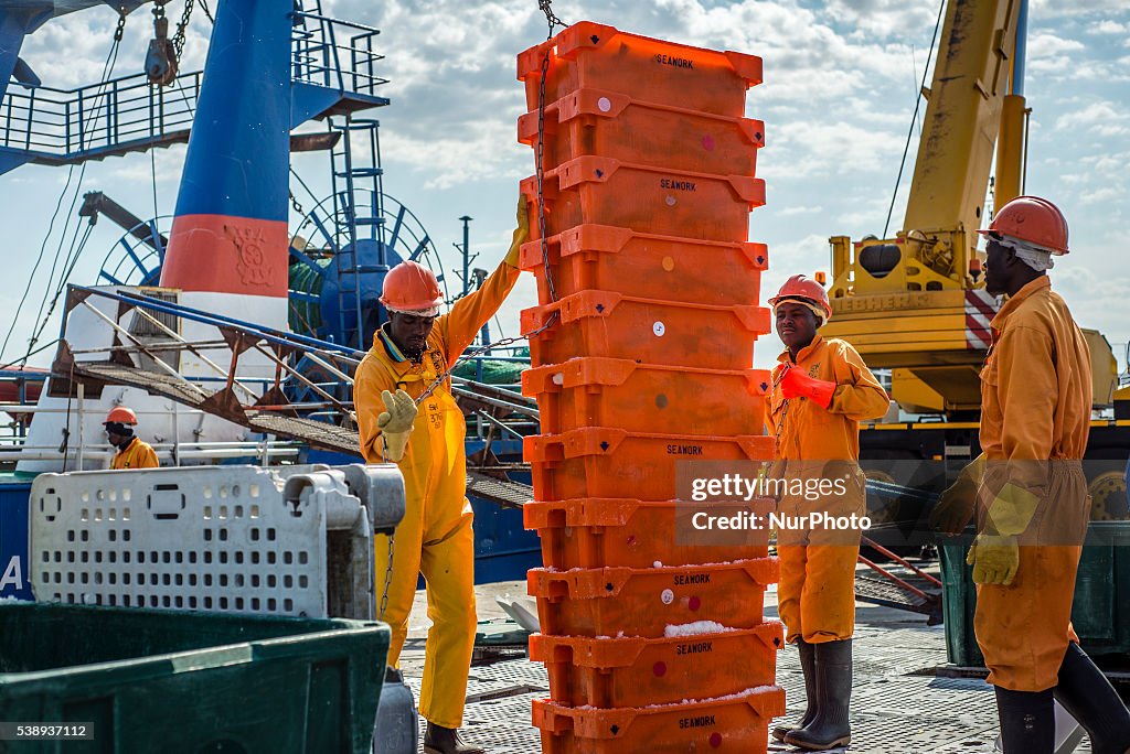 Fish processing in Walvis Bay