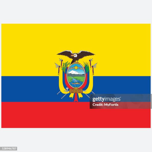 national flag of ecuador - ecuadorian ethnicity stock illustrations