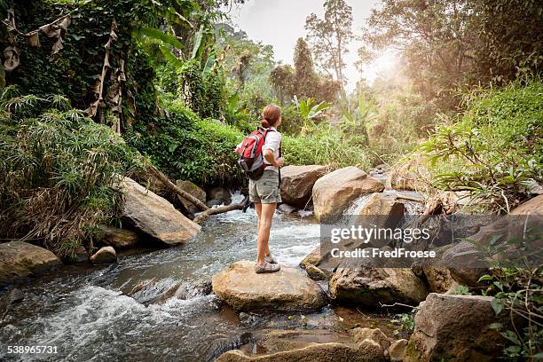 mulher com mochila caminhadas na floresta tropical rio - província de chiang mai - fotografias e filmes do acervo