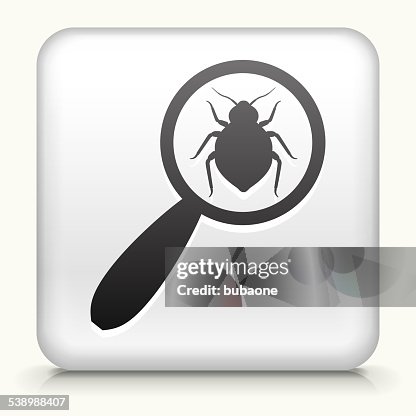 A square button featuring a magnifying glass icon. A square button featuring a magnifying glass icon.