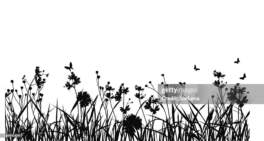 Grass Field mit Schmetterling-Silhouette