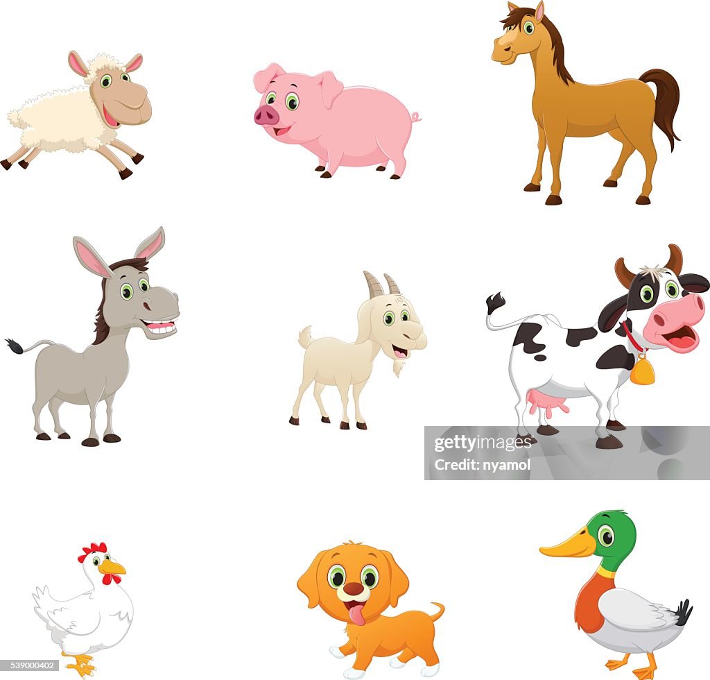 Les Animaux De La Ferme Dessin Animé Groupe De Dessin Animé Animaux De Ferme Illustration - Getty Images