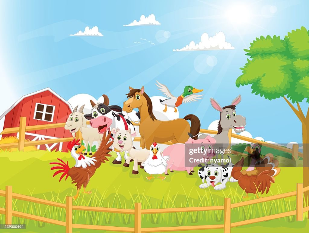 Ilustración De Dibujos Animados De Animales De Granja Ilustración de stock - Getty Images Ilustración De Dibujos Animados De Animales De Granja Ilustración de stock - Getty Images