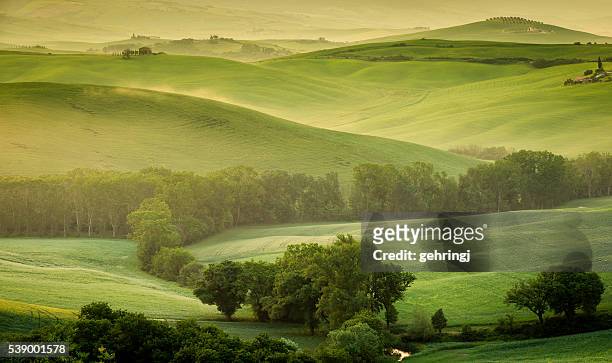 landscape of tuscany - rolling landscape stock pictures, royalty-free photos & images