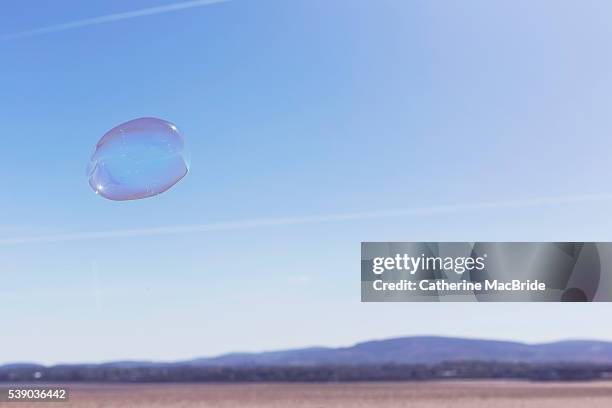 a single bubble floats through blue skies - catherine macbride stock pictures, royalty-free photos & images