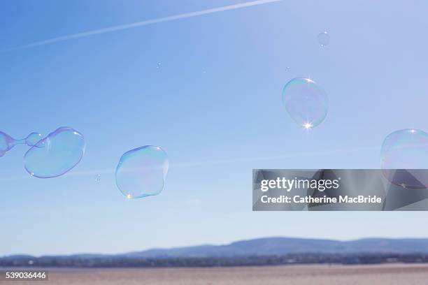 a group of bubbles float through blue skies - catherine macbride stock pictures, royalty-free photos & images