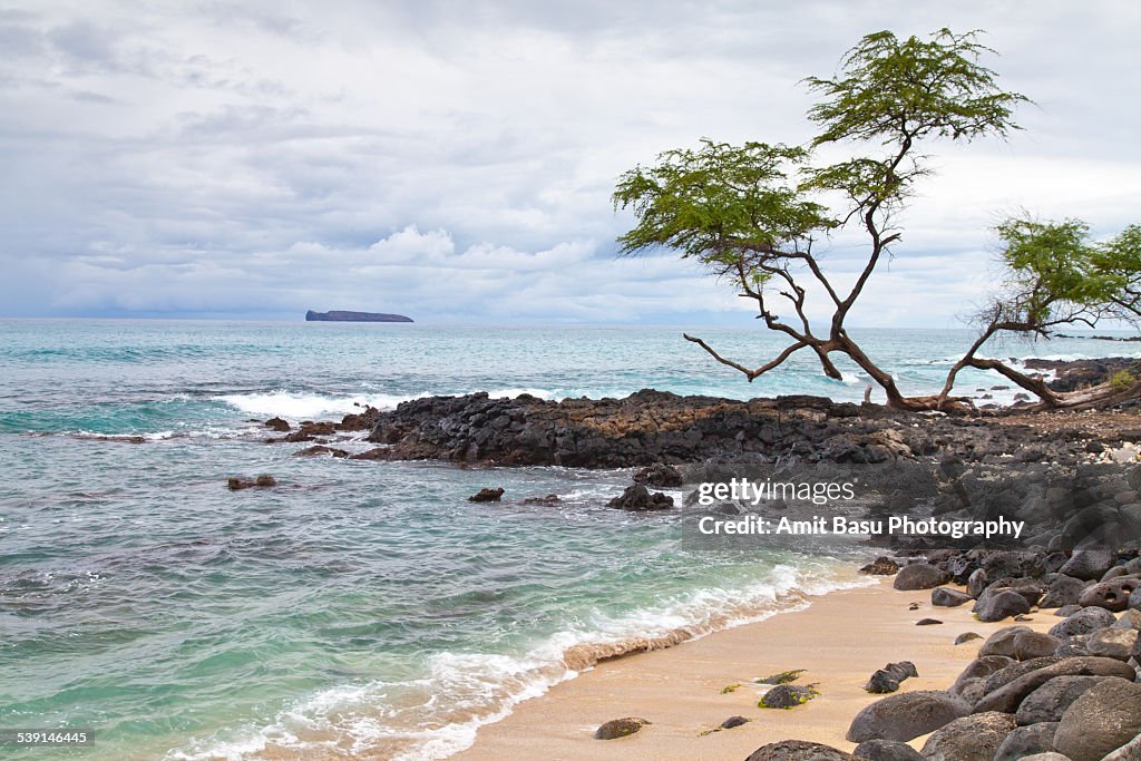 Turquoise ocean waters, Maui, Hawaii