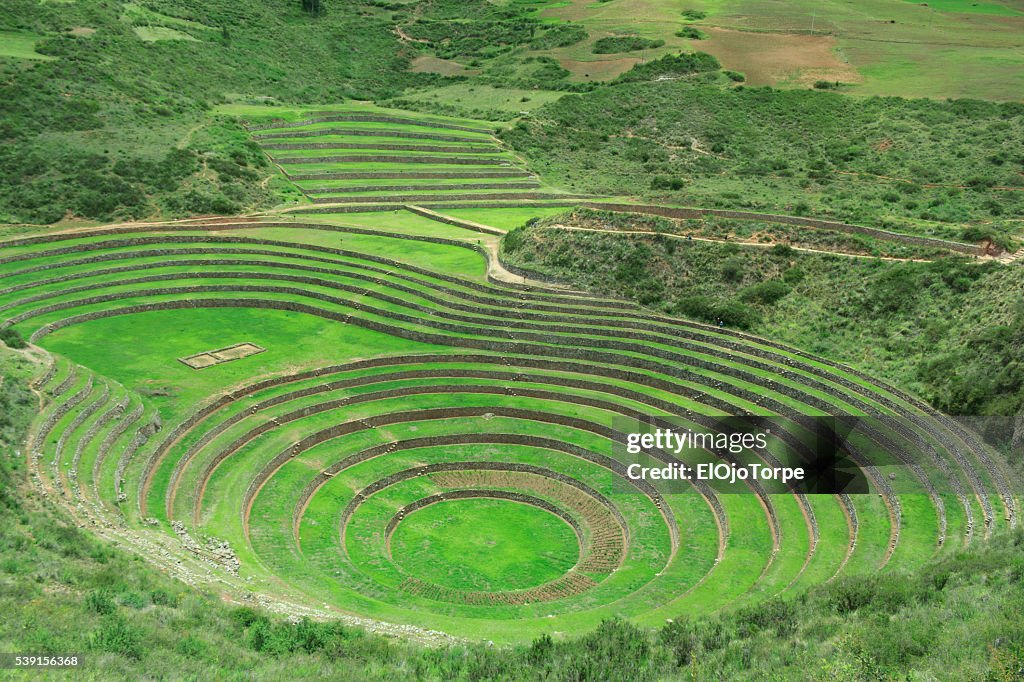 Inca terraced fields in ruins in Moray, Perú