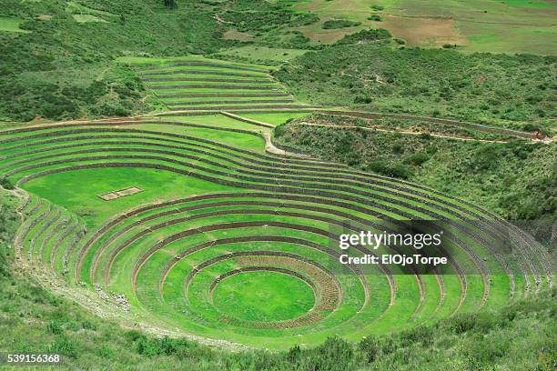 inca terraced fields in ruins in moray, perú - ancient civilisation inca stock pictures, royalty-free photos & images