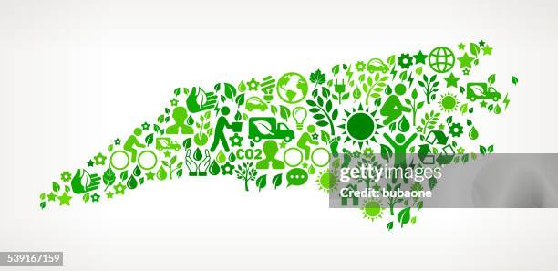 north carolina state green environmental & technolohy vector interface icon - leaf border stock illustrations
