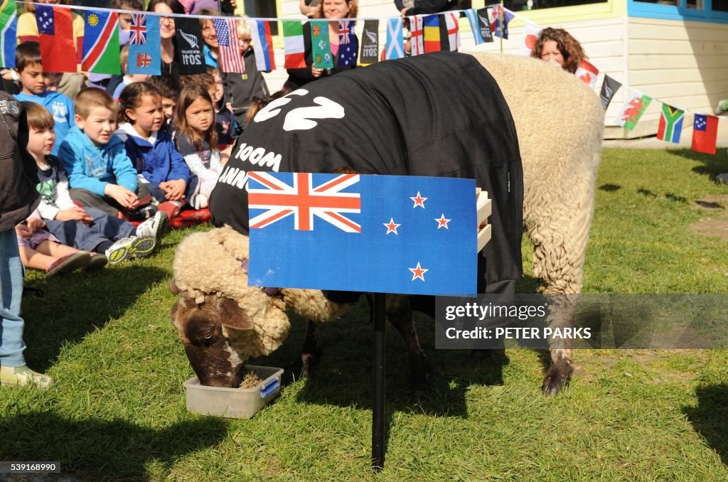 RUGBYU-WC2011-NZL-FRA-SHEEP