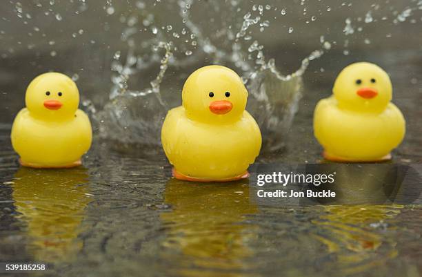 Rubber ducks are seen during a rain delay on day five of the WTA Aegon Open on June 10, 2016 in Nottingham, England.