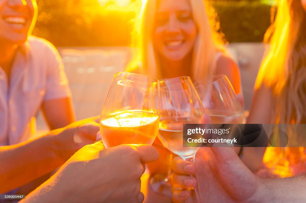 Group of young people toasting with wine glasses.