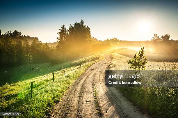morning country road through the foggy landscape - colorful sunrise - country road stock pictures, royalty-free photos & images