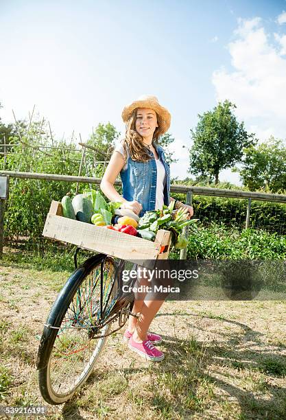 homegrown vegetable garden harvest - homegrown produce stock pictures, royalty-free photos & images