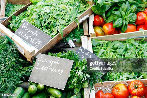 ingredientes orgânicos - flat leaf parsley - fotografias e filmes do acervo