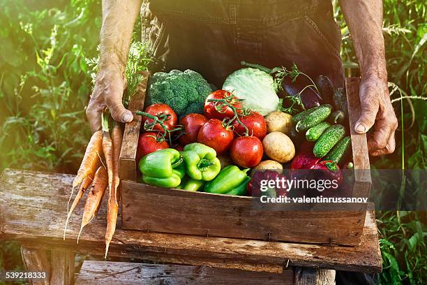 crate with vegetables - hands full stock pictures, royalty-free photos & images