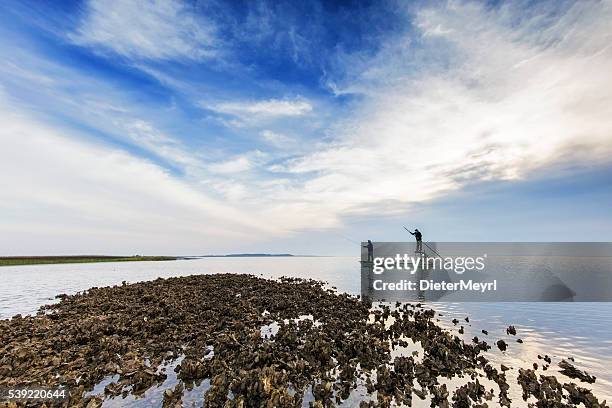 pesca con mosca en la costa de carolina del sur, ee.uu. - redfish fotografías e imágenes de stock