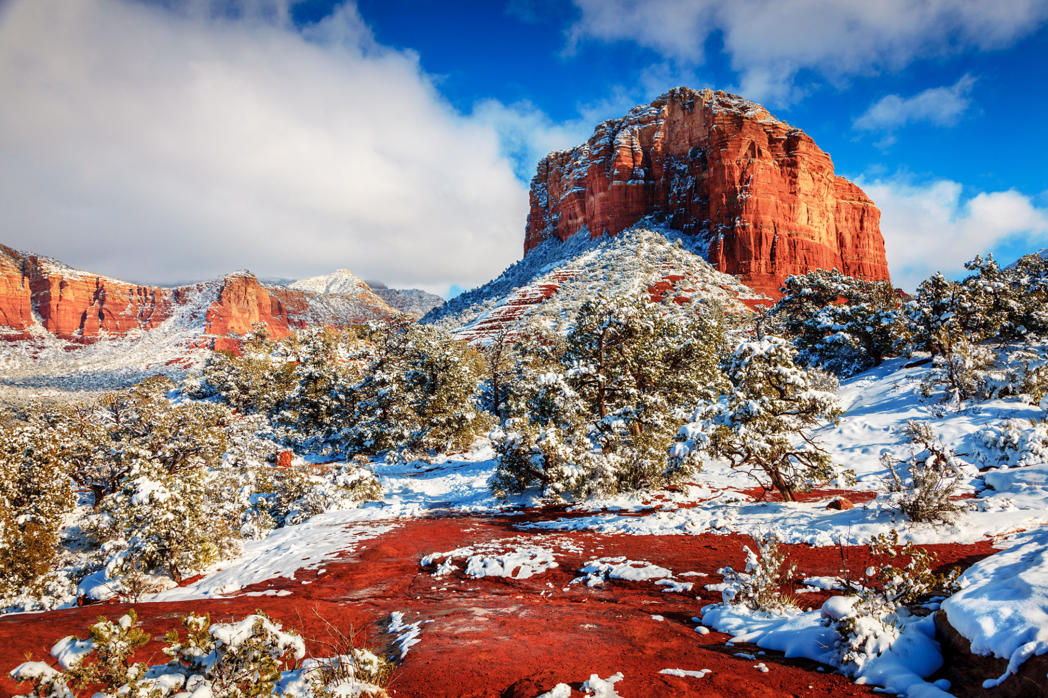 arizona winter