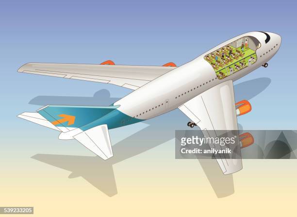 ilustraciones, imágenes clip art, dibujos animados e iconos de stock de avión de unión (cutaway) - anilyanik