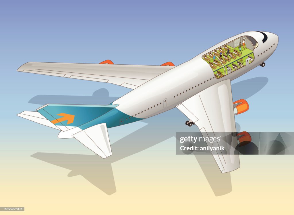 Airplane cutaway