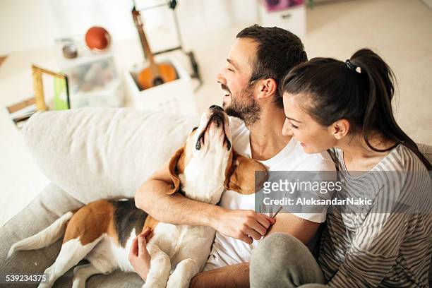 happy familia - perro fotografías e imágenes de stock