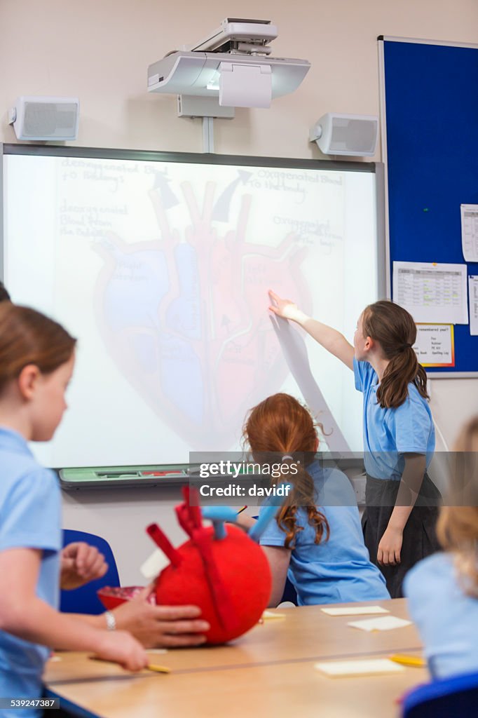 Criança de escola estudando no coração
