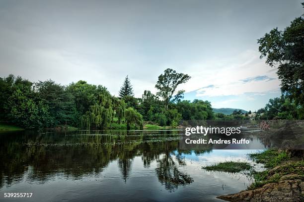 overview of river and trees on a cloudy afternoon - cordoba argentina stock-fotos und bilder