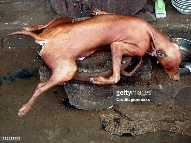 dead dog, dog meat food stall china - dead dog stock pictures, royalty-free photos & images