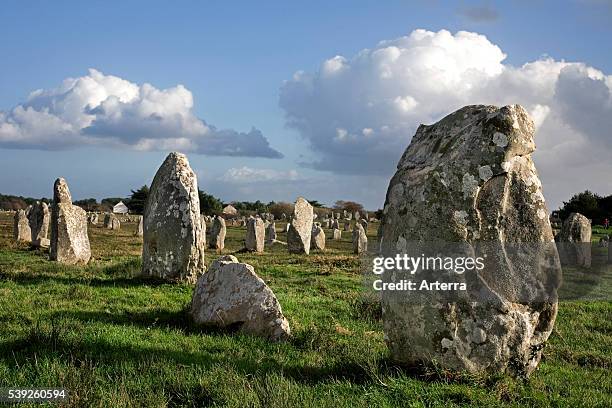 Neolithic menhirs / standing stones at Carnac, Brittany, France.