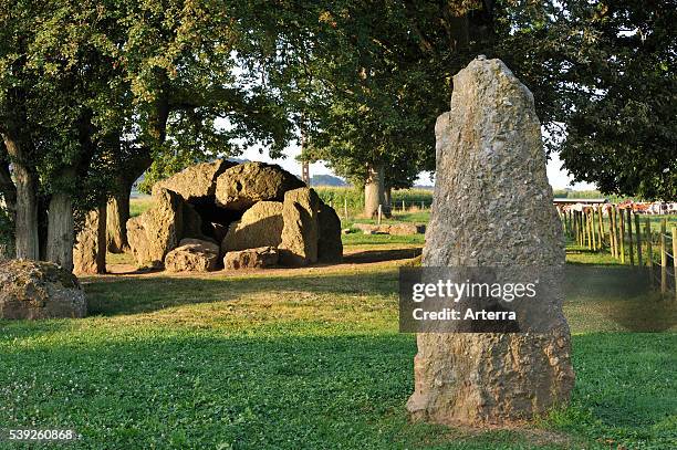 Megalithic Grand Dolmen de Weris and menhir made of conglomerate rock, Belgian Ardennes, Luxembourg, Belgium.