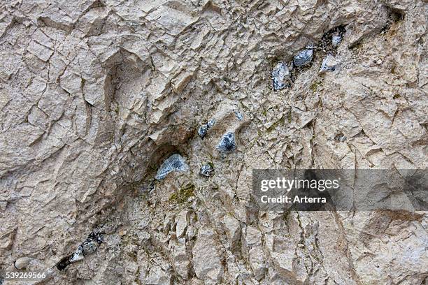 Layer of flint / chert / silex in chalk cliff at Jasmund National Park, island of Ruegen, Mecklenburg-Western Pomerania, Germany.