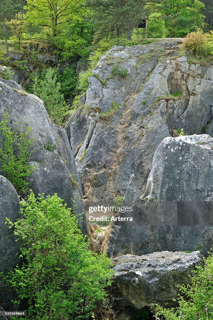 Ravine Between Rocks Eroded rocks of ravine in the nature reserve Fondry des Chiens, a ...