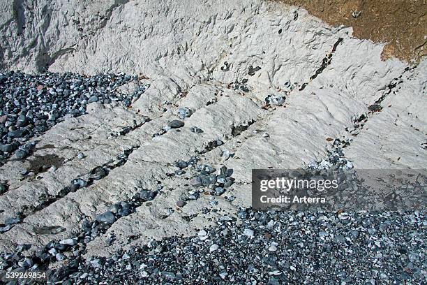 Chalk cliff showing layers of flint rock in Jasmund National Park on Rugen Island on the Baltic Sea, Germany.