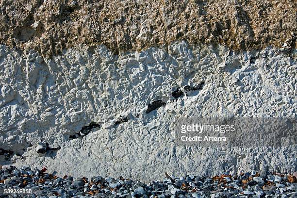 Chalk cliff showing layers of flint rock in Jasmund National Park on Rugen Island on the Baltic Sea, Germany.