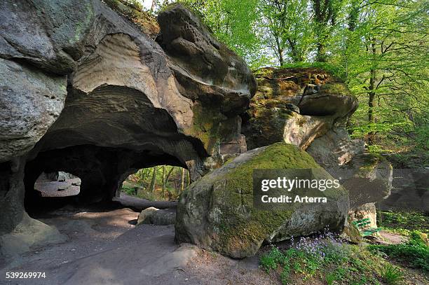 The Hohllay cave showing grooves and circles in the sandstone rock from carving millstones, Berdorf, Little Switzerland / Mullerthal, Luxembourg.