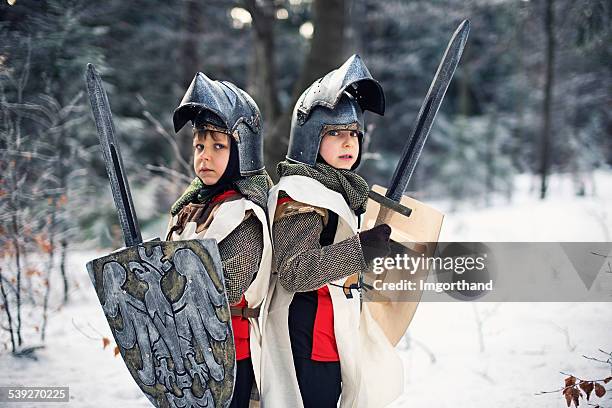 little knights in frozen forest - traditional armour stock pictures, royalty-free photos & images