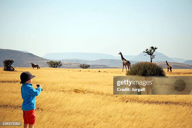 enfant avec des jumelles en regardant les animaux en safari en afrique - safari animals stock photos et images de collection