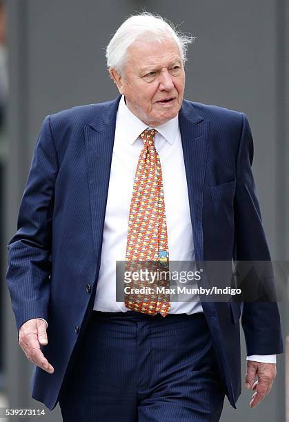 Sir David Attenborough attends a national service of thanksgiving to mark Queen Elizabeth II's 90th birthday at St Paul's Cathedral on June 10, 2016...