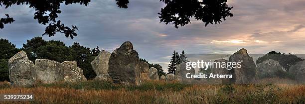 Neolithic menhirs / standing stones at Carnac at dusk, Morbihan, Brittany, France.